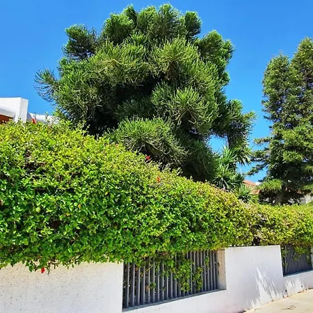 Nissi Beach Luxury
